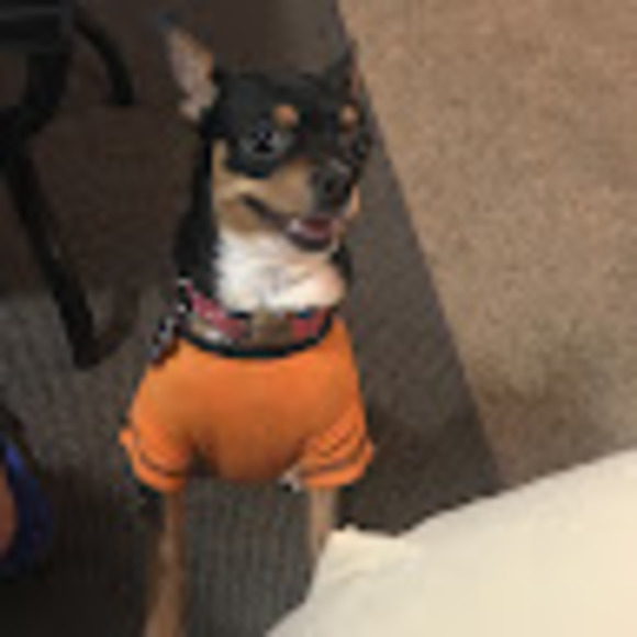 Meet your Posher, Mark - Picture 1 of 1